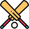 CricScoreBoard