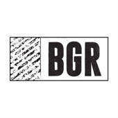 BGR – The Burger Joint