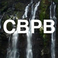 Cascade Bearing PinBall