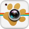 Camera Pets