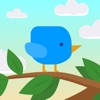 I’m a Birdie