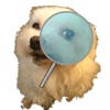 RecognizeMe Web RecognizeMe Web