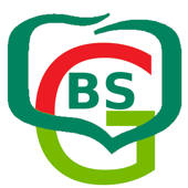 BSGrybow mobileNet