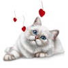 Cat stickers