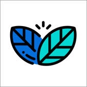 cloe – 皮肤保养日记