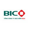 BIC Online