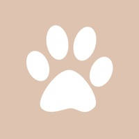 Amble Cat Amble Cat