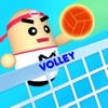 Play Volleyball 2020