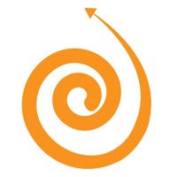 SpinRise