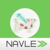NAVLE Test Prep