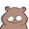 Fig The Hamster