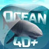 Ocean 4D+ Ocean 4D+