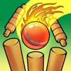 Real Cricket Bowling Practice
