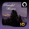 Peaceful Winter HD