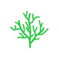 年轮3 – 艾宾浩斯高效规划记忆