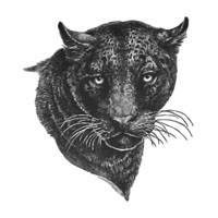Ludlow Independent Schools