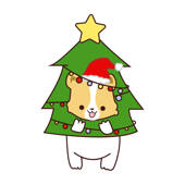 Corgi at Christmas Corgi at Christmas