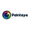 Painteye
