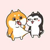 Funny Puppies