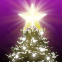 Your Christmas Tree Decoration