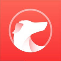 灵缇游戏加速器 – 主机游戏&手机游戏全支持