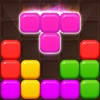 Puzzle Master – Block Game