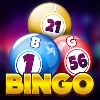 New Bingo World New Bingo World