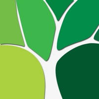 自然冥想-简单好用的放松利器