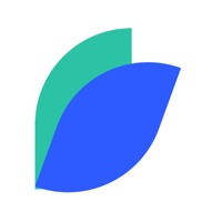 Rhemito Money Transfer