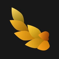 NYMF: Nude Art Photo Journal NYMF: Nude Art Photo Journal