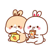 Mina & Suji Mina & Suji