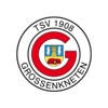 TSV Großenkneten