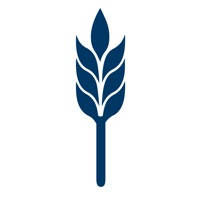 Bel Air Investment Advisors