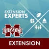 MSU-E Experts Directory MSU-E Experts Directory
