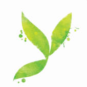 Love Yourself Meals Love Yourself Meals