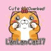 Lan Lan Cat 17 (EN) Lan Lan Cat 17 (EN)