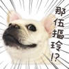 法鬥麻糬肥吱吱(活體演出篇) 法鬥麻糬肥吱吱(活體演出篇)