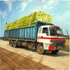Sugarcane Truck Evolution Game