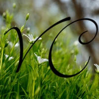 VELLA CONSULTING INC.