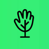 Activitree