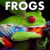 Learn About Frogs! Learn About Frogs!