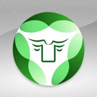 Lineup Squad Lineup Squad