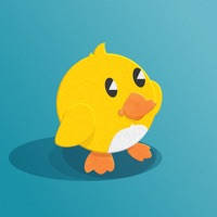 Duckling Duck