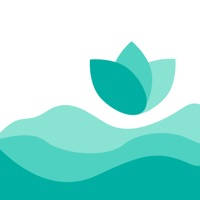 荷塘-你比从前快乐 荷塘-你比从前快乐