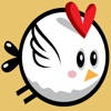 Bird KoKo