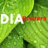 DiaBeaters
