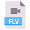 SV转换器 – 转FLV