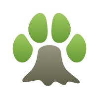 百年漫画-土豪看漫画的新选择