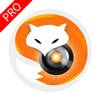 FoxEye