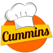 Cummins Admin Cummins Admin